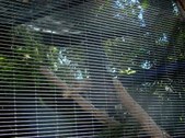 Enlarge photo 169