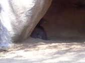 Enlarge photo 171