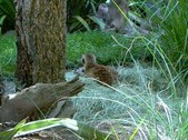 Enlarge photo 174