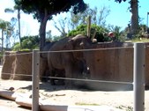Enlarge photo 181