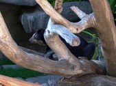 Enlarge photo 189
