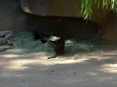 Enlarge photo 200