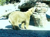 Enlarge photo 210