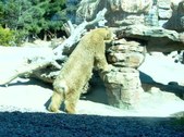 Enlarge photo 211