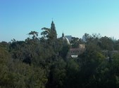 Enlarge photo 223