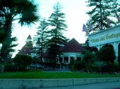 Enlarge photo 17