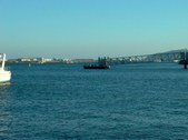Enlarge photo 35