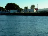 Enlarge photo 36