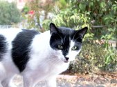 Enlarge photo 53