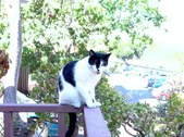 Enlarge photo 59