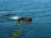 Enlarge photo 32