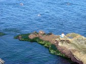 Enlarge photo 33