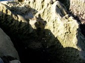 Enlarge photo 34