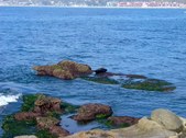 Enlarge photo 37