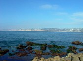 Enlarge photo 38