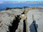 Enlarge photo 39