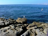 Enlarge photo 40