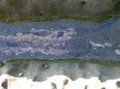 Enlarge photo 42