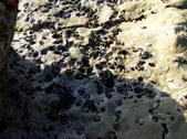 Enlarge photo 44