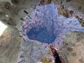 Enlarge photo 46