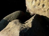 Enlarge photo 48