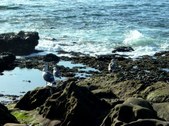 Enlarge photo 49