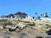 Enlarge photo 50