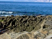 Enlarge photo 51