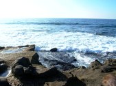 Enlarge photo 54