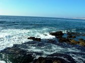 Enlarge photo 58