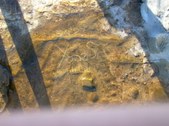 Enlarge photo 59