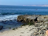 Enlarge photo 62