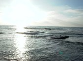 Enlarge photo 79