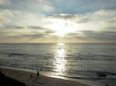 Enlarge photo 80
