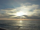 Enlarge photo 83