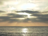 Enlarge photo 84