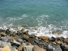 Enlarge photo 49