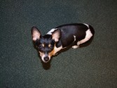 Enlarge photo 5