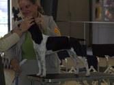 Enlarge photo 26