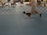 Enlarge photo 31