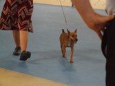 Enlarge photo 22