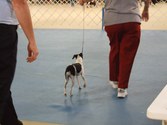 Enlarge photo 23