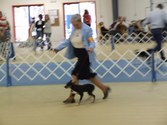 Enlarge photo 3