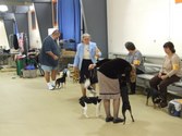 Enlarge photo 7
