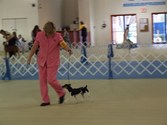 Enlarge photo 38