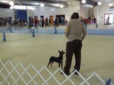 Enlarge photo 19