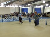 Enlarge photo 28