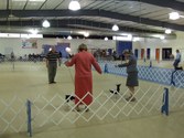 Enlarge photo 32