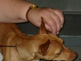 Enlarge photo 7
