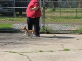 Enlarge photo 11